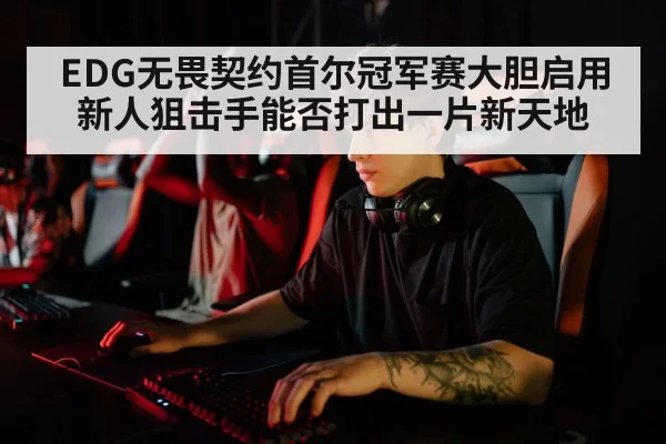 EDG无畏契约首尔冠军赛大胆启用新人狙击手能否打出一片新天地
